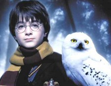 Potter baglya vadnak született