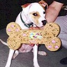 BOLDOG SZÜLETÉSNAPOT, A SZŰZ JEGY SZÜLÖTTEINEK!