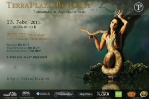 4. TerraPlaza Budapest, terrarisztikai és akvarisztikai expo