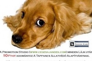 Tappancs Állatvédő Alapítvány