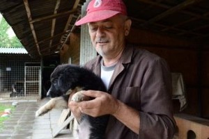 Brutális állatkínzás, pusztítás a szolnoki állatmenhelyen