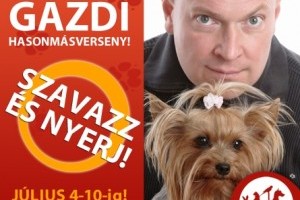 Háziállat-gazdi hasonmásverseny