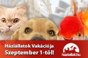 Háziállatok vakációja - eredményhirdetés