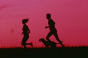 Találd meg egyszerűen az elveszett kutyusod!