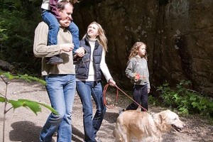 A kutya miatt többet veszekszünk