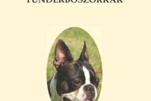 Molnár Andrea: Tündérboszorkák