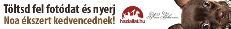 noa_haziallat_468x60_