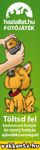 vakkant_160x600