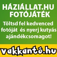 vakkant_200x200