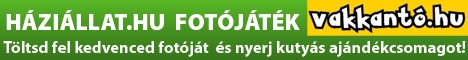 vakkant_468x60_2013