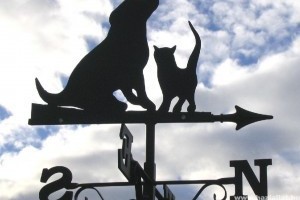 Életbe lépett a szigorúbb állattartási törvény