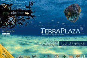 TerraPlaza vol.7, az eleven ékszerek paradicsoma