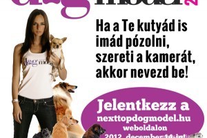 Jó hír a kutyusok barátainak