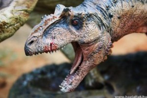 A dinoszauruszok jó úszok voltak