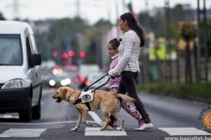 Segítőkutyával az élet…örömtelibb – Rácz Mariann története
