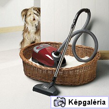 SZŐRSZÁLHASOGATÓ KÉRDÉS