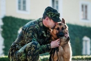 Miniszteri kitüntetést kapott a cseh hadsereg egyik kutyája