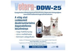 Korszerű állatgyógyászati daganatterápia a deutériummegvonás elvén