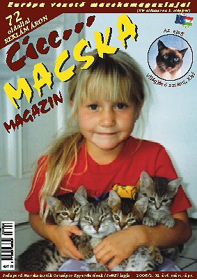 CICC... MACSKA MAGAZIN (x)