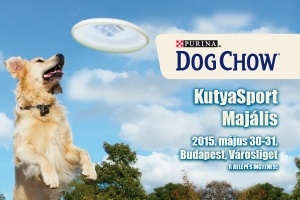 Kutyás frizbi EB-t rendez Magyarország!