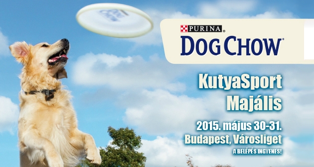Kutyás frizbi EB-t rendez Magyarország!