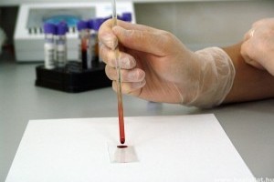 Brüsszel az állatkísérletek fokozatos megszüntetése mellett