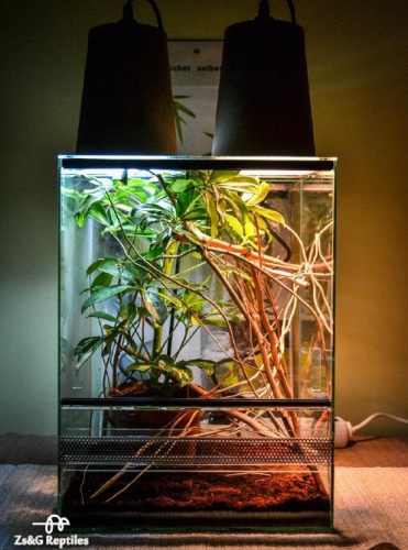 neveloterrarium