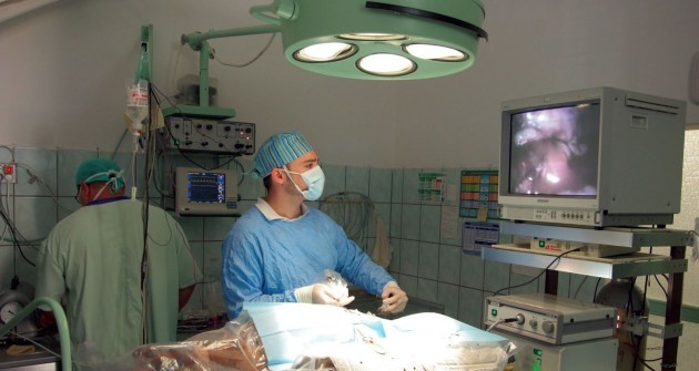 Úton a jövő állatorvoslásába: ilyen egy profi rendelő