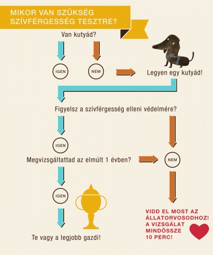 infografika
