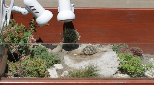 teknos_terrarium