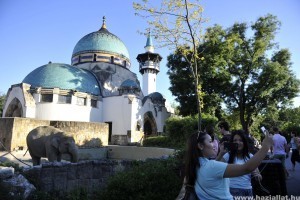 150 éves a budapesti állatkert - nézd meg mi minden változott