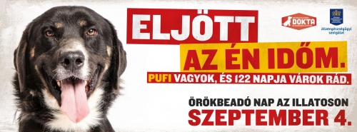illatos_orokbefogadonap