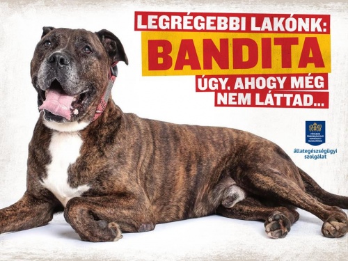 illatos_orokbefogadonap5