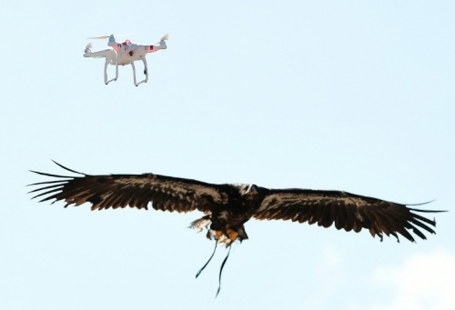 dron3