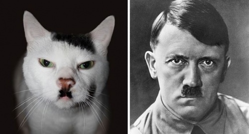 cica_hitler