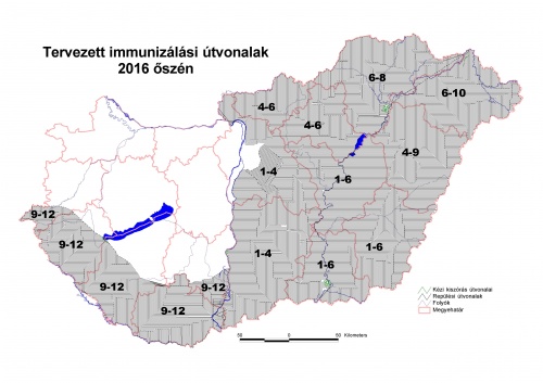 rokavakcina