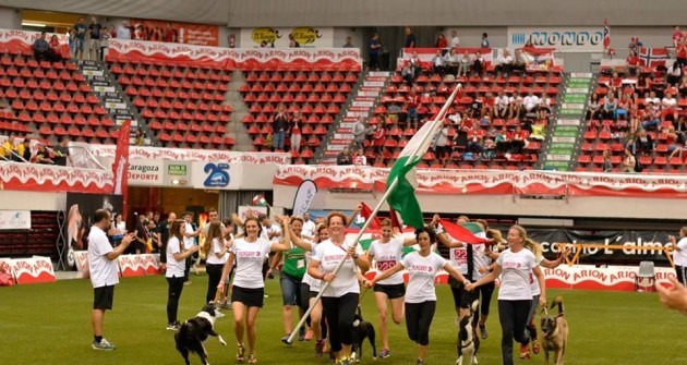 Világbajnoki ezüstérmeket szereztek a magyar agilitysek