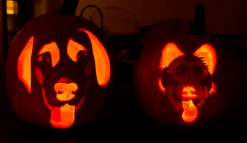 allati_halloween3