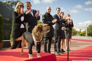 Kedvencek korzója egy bevásárló központban