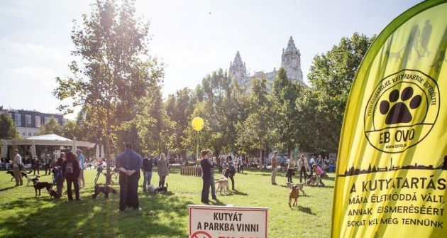 Szeretnél továbbra is városligeti kutyás lenni?