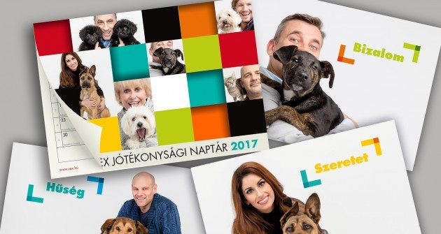 Hírességek sztárolják az örökbefogadásra váró kutyákat és cicákat