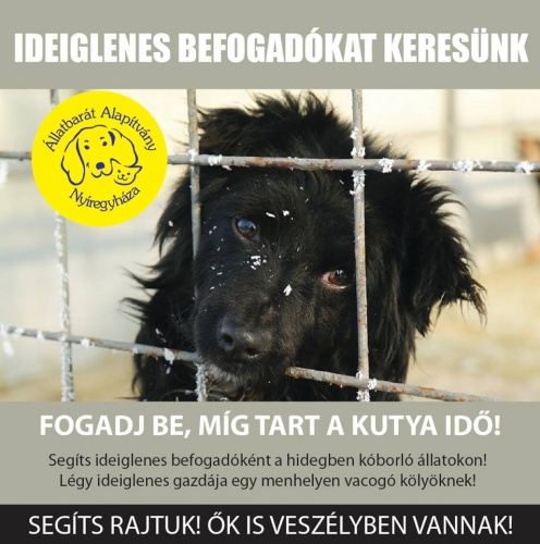 ideiglenes_befogadk