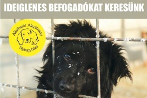 Ne légy közönyös! Ne sétálj el mellette!