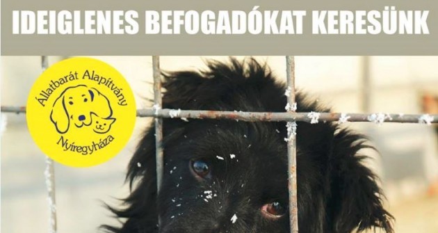 Ne légy közönyös! Ne sétálj el mellette!