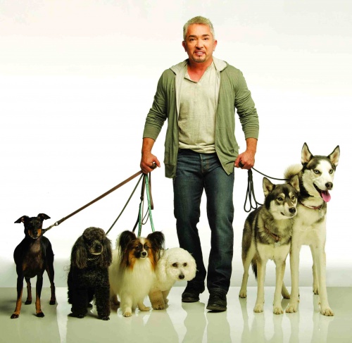 cesarmillan_1