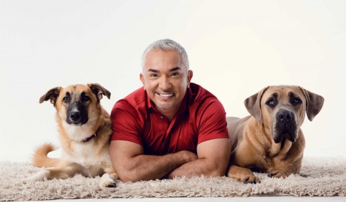 cesarmillan_6_01