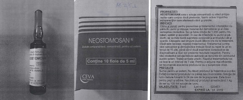 neostoman