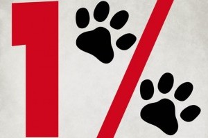 1% felajánlás: 5 dolog, amit tudni kell egyéni vállalkozóként