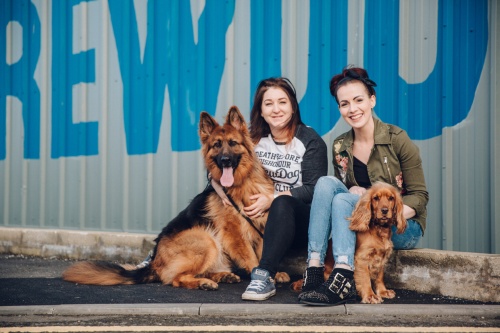 brewdog_sorfozde3