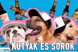 Kutya és sör - fogadd örökbe, egy rekesz sör jár hozzá!